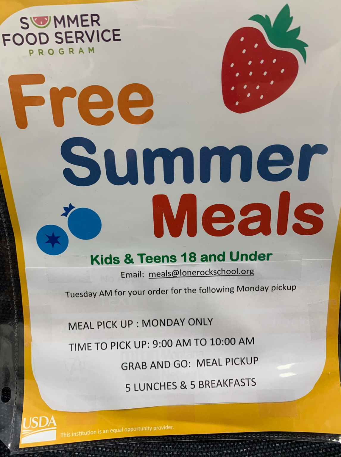 Free Summer Meals Stevensville Public Schools